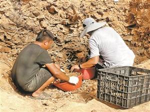 密码|揭开建水窑的基因密码 拟建遗址公园