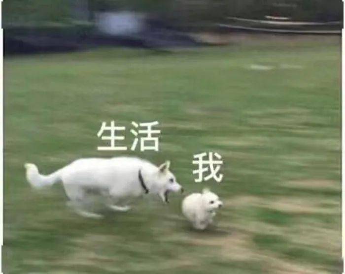 d8d86b5f1b464079a5b0cb7b0243b444.jpeg