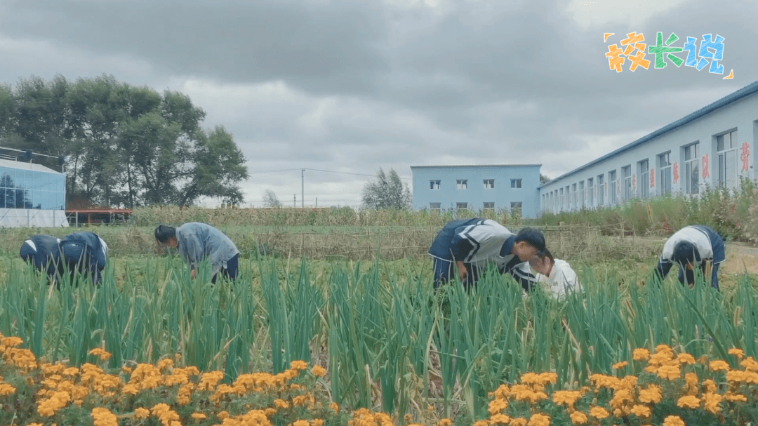 李果刚|普教职教双轨运行的镇中心学校：不能只为了成绩前30%学生