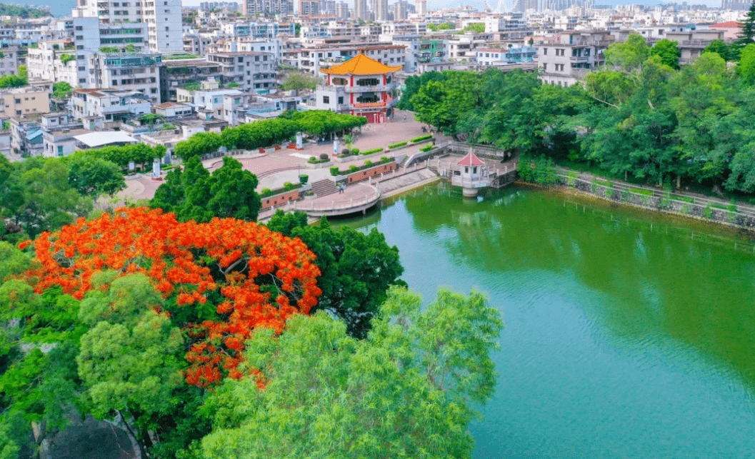 今日斗门  霞山公园