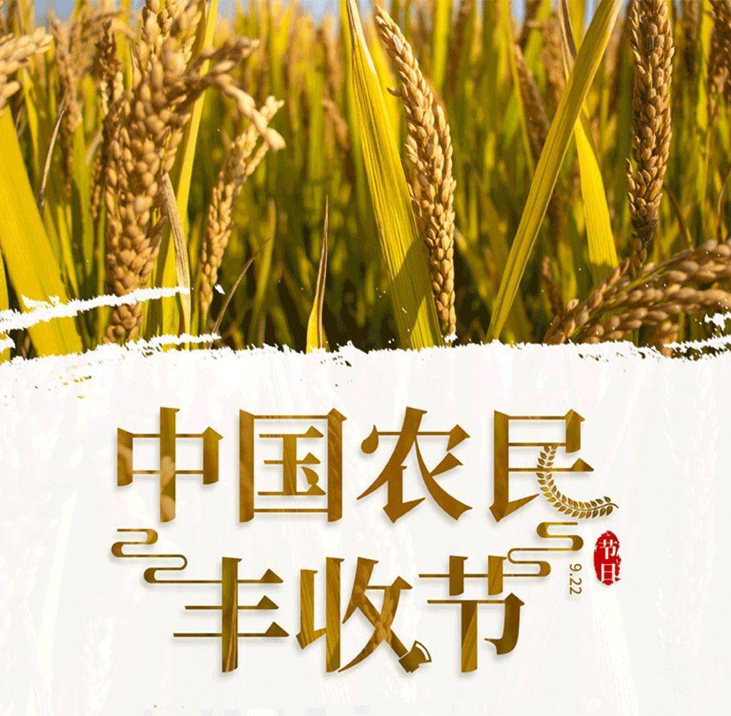 2020钱库镇gdp_中国gdp变化图