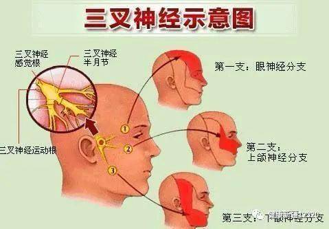 上线|健康中国行动专网正式上线 | 人体最痛的6种病,你经历过哪一个......