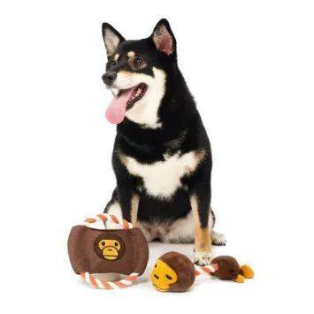 宠物|萌宠时尚｜毛孩子们时髦起来一点也不输主人！