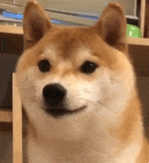 双眼皮|为什么“整容脸”女孩,更受直男欢迎?