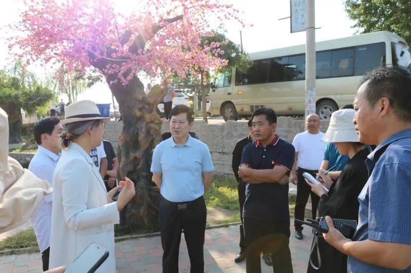 中建设计集团有限公司城乡与风景园林规划设计研究院院长吴宜夏到我区