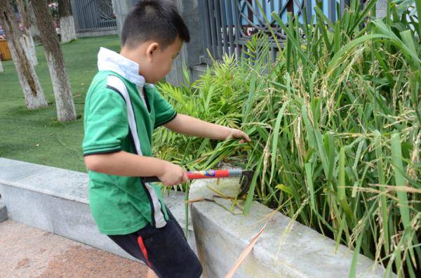 教育部|教育部要求学校食堂改进菜品口味！鼓励这样收费...