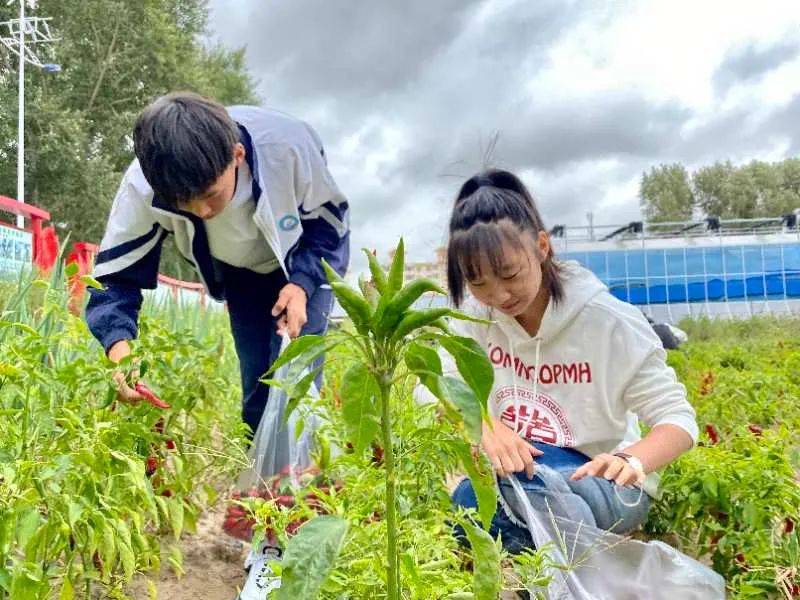 李果刚|普教职教双轨运行的镇中心学校：不能只为了成绩前30%学生