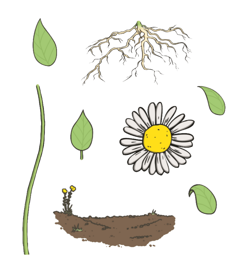 2f84907ac7e5455299e26aa7a021d441.png