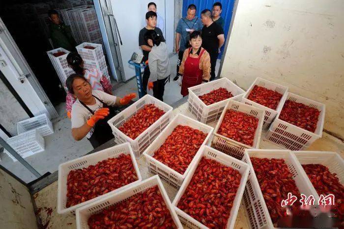 螺蛳|看饿了！全国首个辣条专业班开课