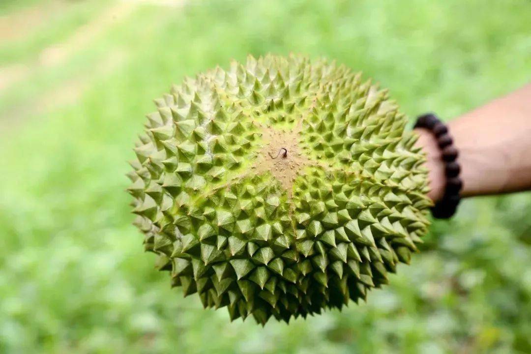 72f84e573ee542acb47a0af1ea8a1d7f.jpeg