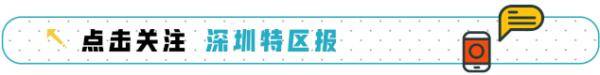 月饼|2020高校月饼神仙打架！颜值超高口味特别，小编化身柠檬精啦！