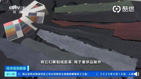 皮革|三文鱼也能做包？法国奢侈品用三文鱼皮制作配饰