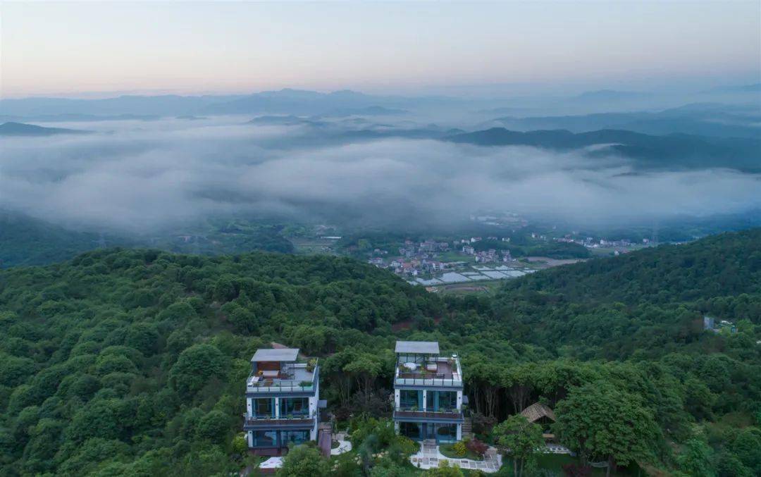 诸暨这个"村"太美!精装山居,每家1个农场