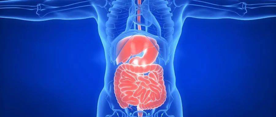 766b28d706774795bc0e05d433ad1931.jpeg