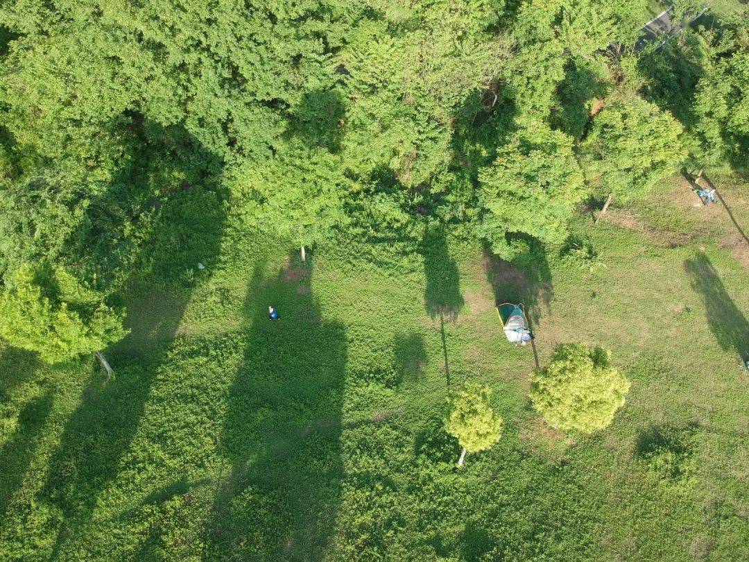 2020年万元gdp水耗_2020年铁路节支降耗