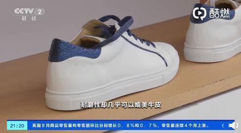 皮革|三文鱼也能做包？法国奢侈品用三文鱼皮制作配饰