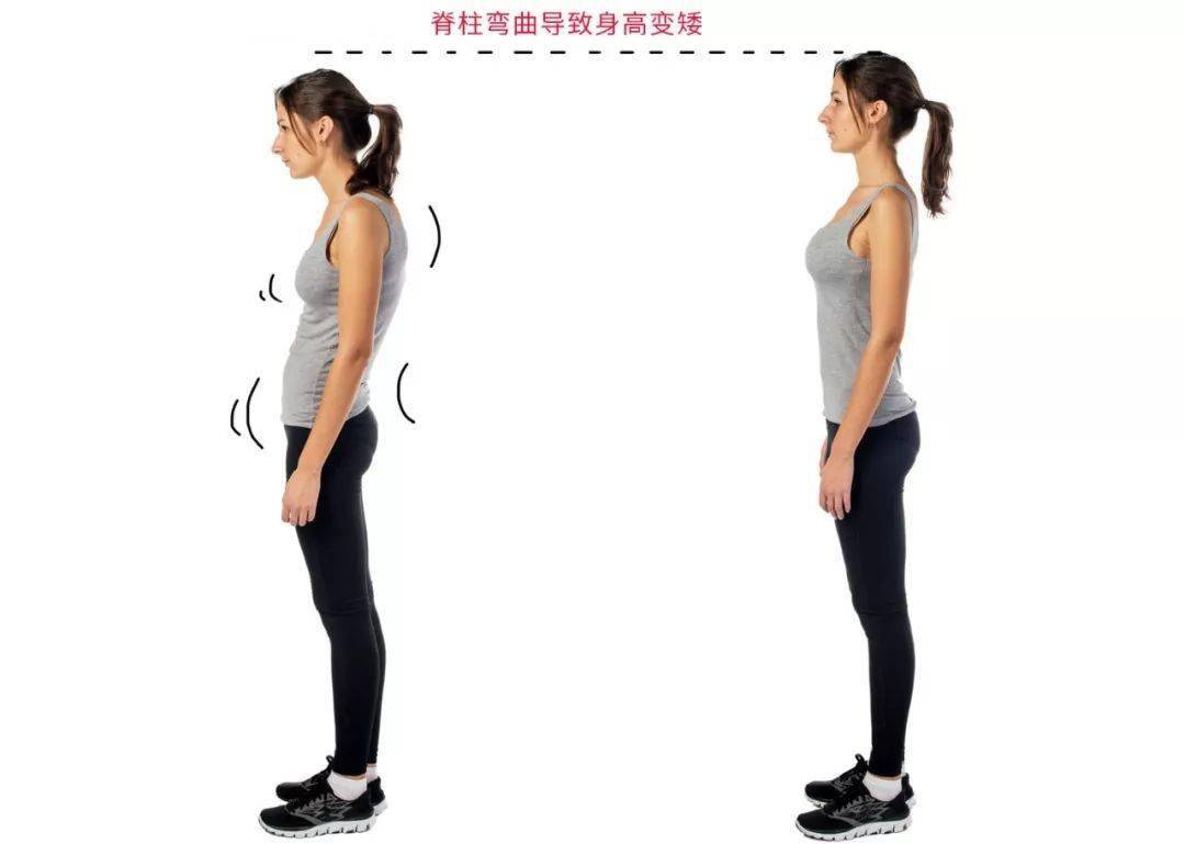 徐峥|37岁穿旗袍秀“完美腰臀比”征服徐峥，让毒舌章子怡赞不绝口：女人最高级的性感，都藏在这一点！