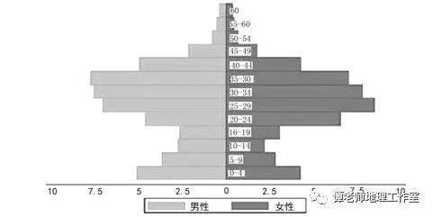 城市流动人口的特点_人口向城市群流动(2)