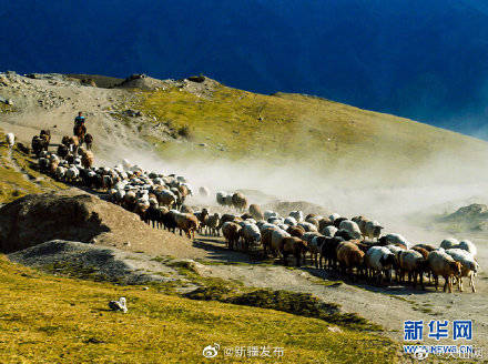 什么时候转场 ba075804e25148c3bb1b504a78bc55dd.jpeg