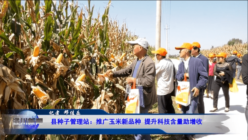 党原镇人口(3)