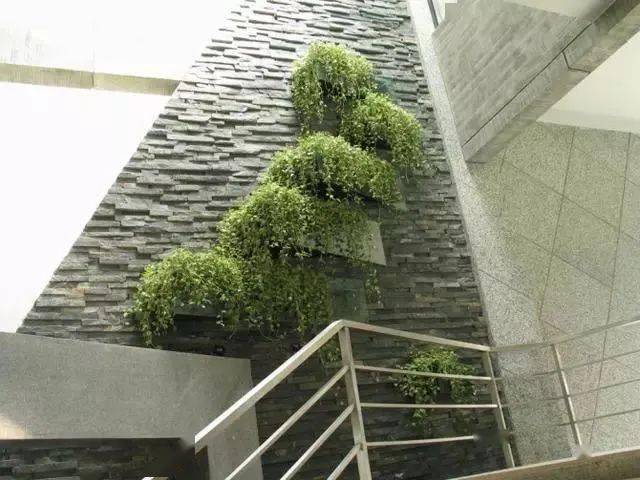 文章配图-2
