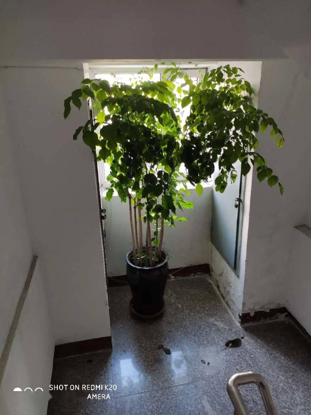 头条天网恢恢疏而不漏白城一潜逃20年的杀人犯终于落网了