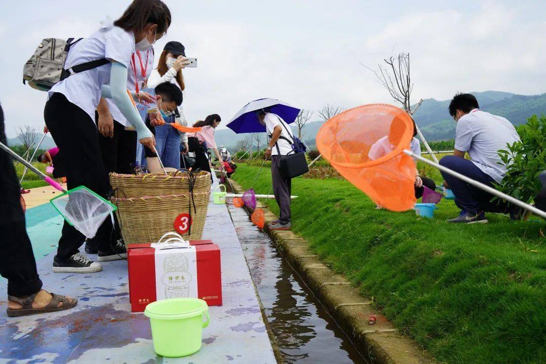 农民趣味运动会乐翻天田间地头竟如此有趣