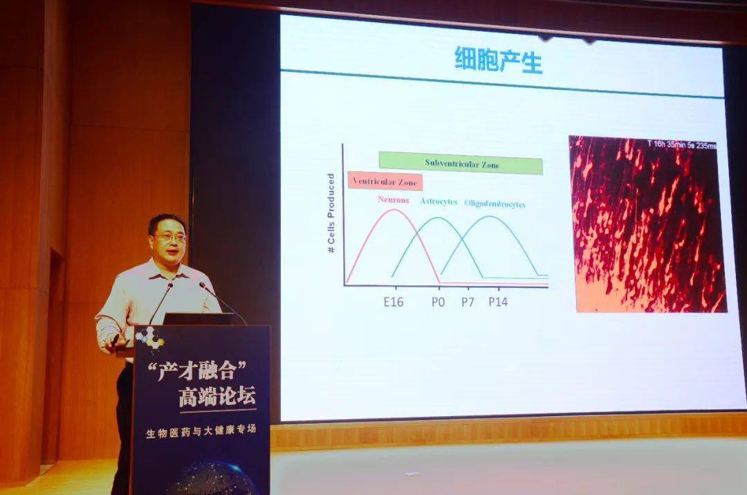 "大咖论道"碰撞思想火花,赋能生物医药产业未来.