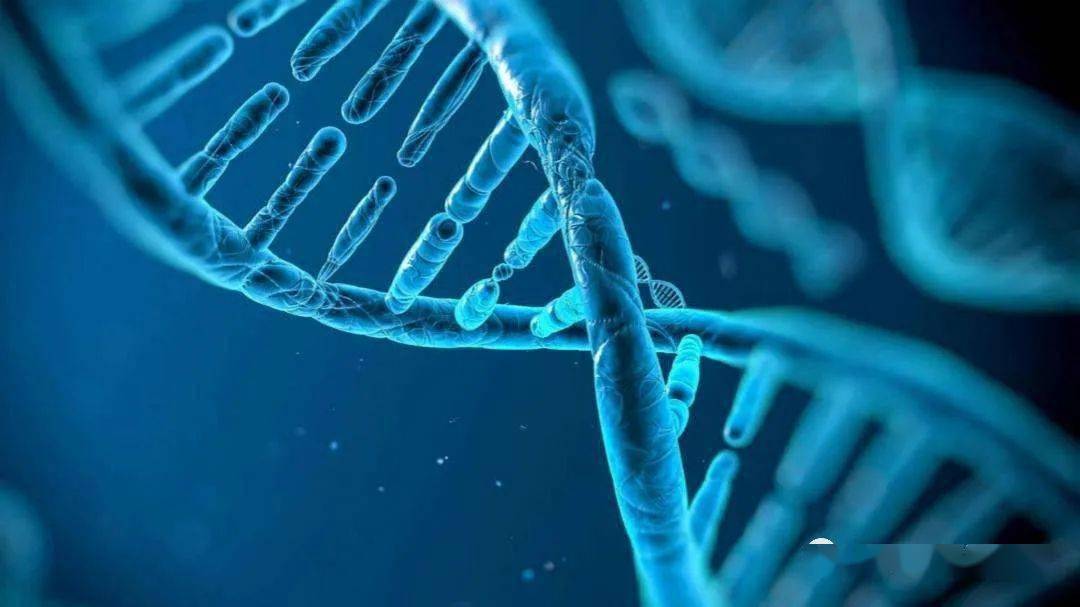 生物|大学专业早知道：生物科学