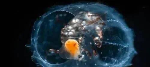 a849157e3ad64da797d2c61b6619a28c.jpeg