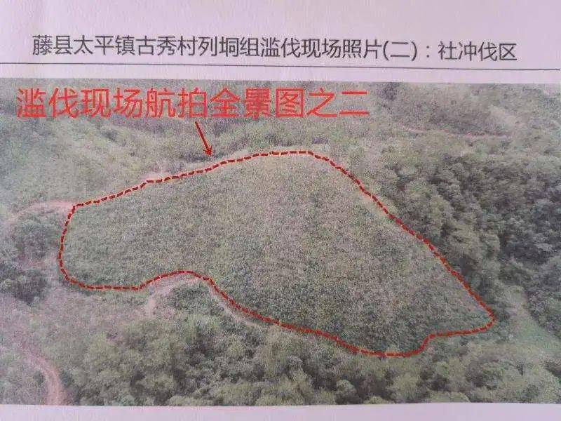 江门人口2020_2020年江门丰乐小学(3)