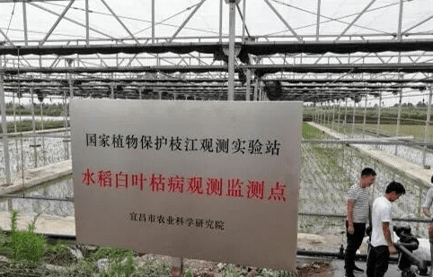 2020宜昌市gdp_宜昌市地图