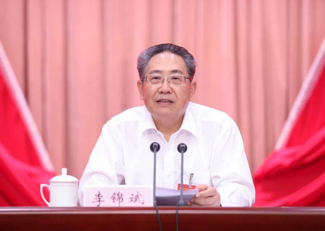 李锦斌就《决定(讨论稿)》向全会作了