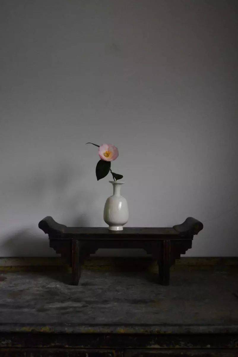 禅意插花 · 100例,此花不在你心外