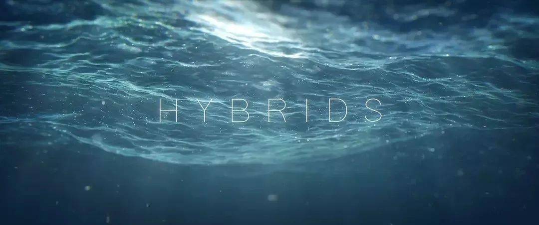 hybrids被污染的水下世界