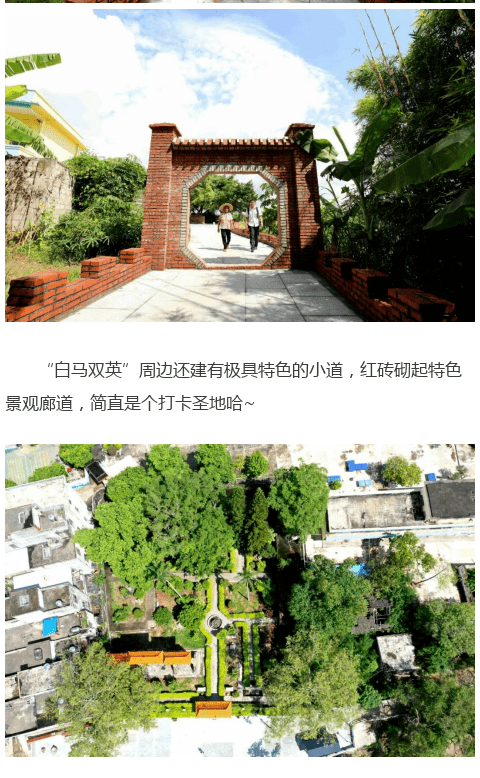 平南的"白马双英"你了解多少?原来背后还有着这样的故事.