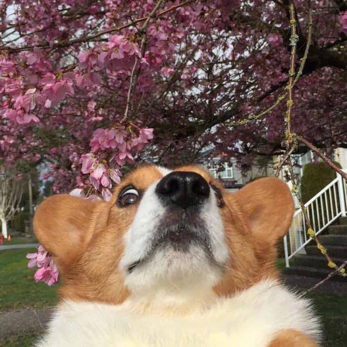 9898689763794411ae85a43c377b5b1e.jpeg