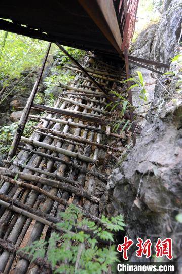 天梯|广西大化大石山区瑶胞求学路：从断崖天梯变坦途