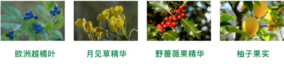 皮肤|刷酸=换脸？这个明星们超爱的百元刷酸好物搞定你的痘痘、闭口、黑头毛孔粗大还不怕烂脸！