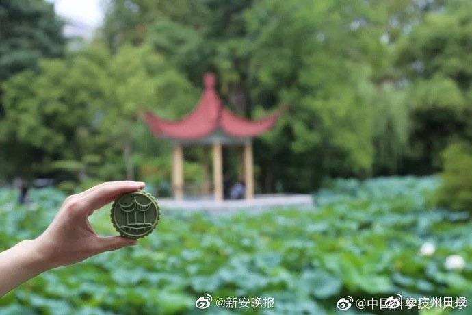 月饼|中国科大教科书包装月饼：祝吃了后不挂科