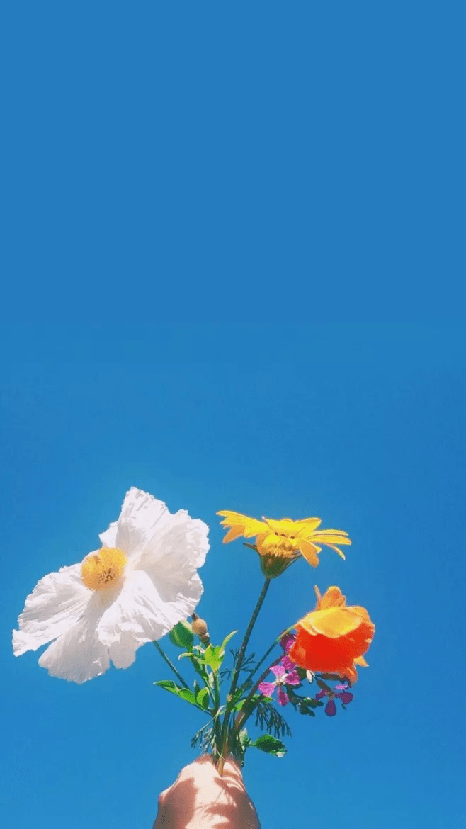 59171600478f4ff48baf366e54800c98.png