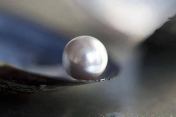 大顶|阎立本一句话救了狄仁杰，唐代两大顶流这样相遇