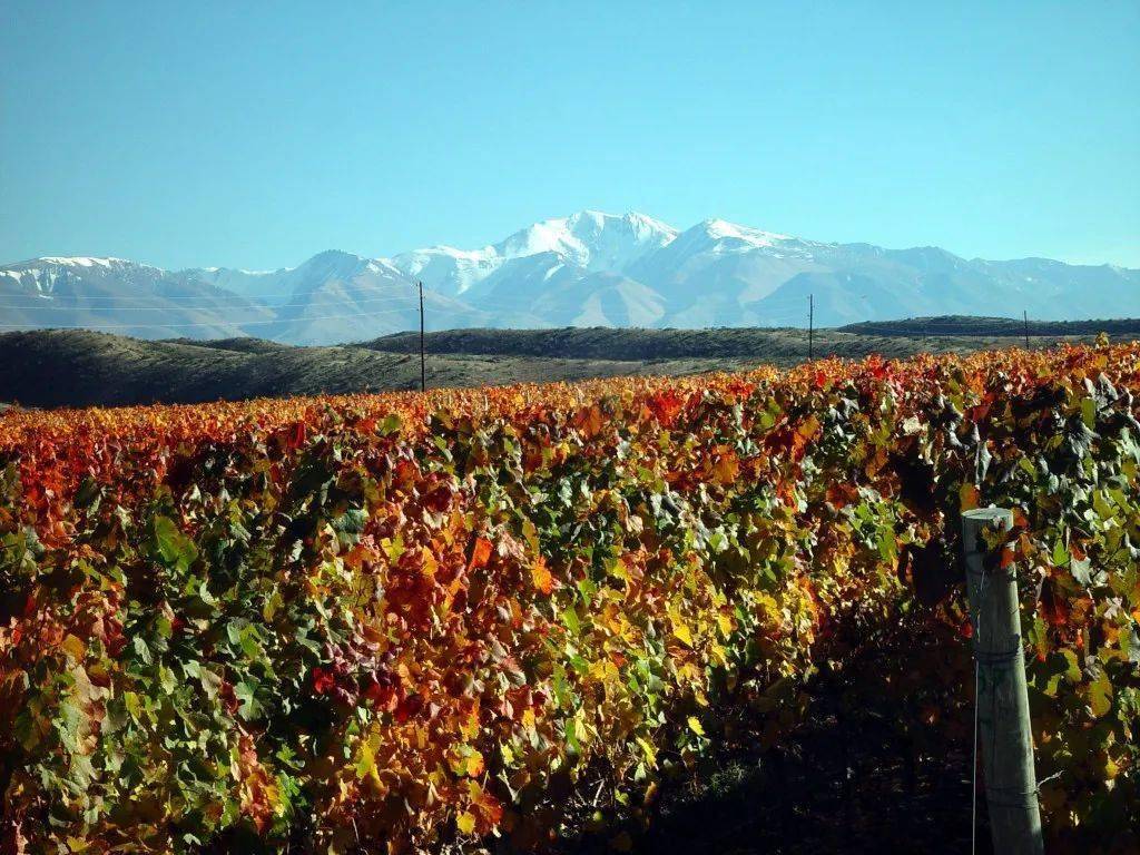 酒庄|旅途中总有好胃口带上一支红酒