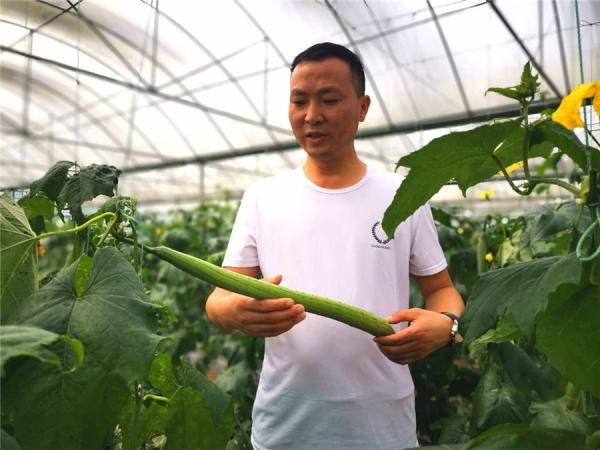 市场|铜仁万山大坪乡：销售专班跑市场 特色产业稳销路