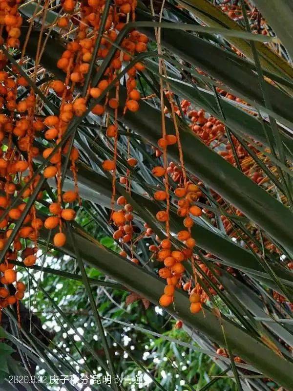 身体|孩子今后如何面对健康与疾病?你现在的态度决定！