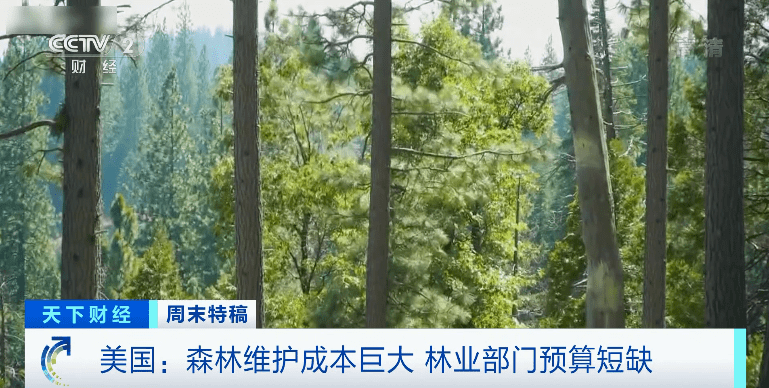 山区|史无前例！50万人紧急撤离！美国山火越烧越烈，为何大批人还涌向山区建房？