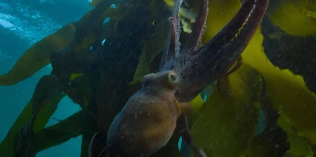 5347afa4ae6e49168123cb550d573ee9.jpeg