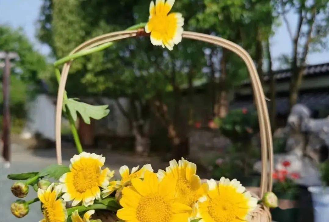 烧烤|秋天的第一次郊游！