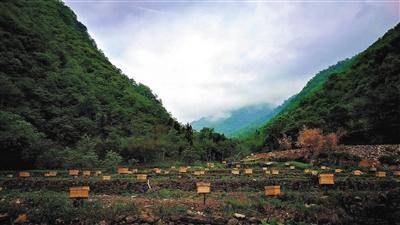 扶贫|从输血到造血 北京银行打造中小银行扶贫样本