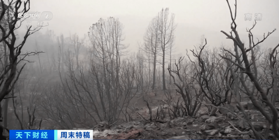 美国|史无前例！50万人紧急撤离！